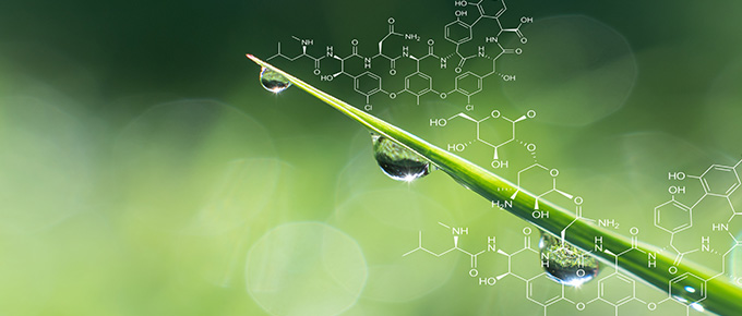 Química verde, nuestras esperanzas para un mundo más limpio y eficiente