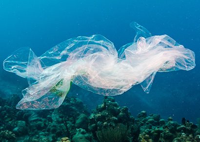 What are the solutions for combatting ocean pollution?