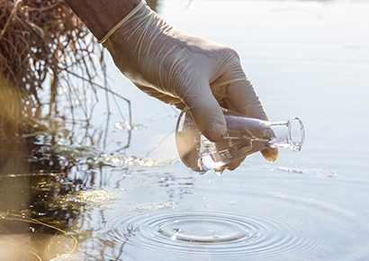 Gestion des eaux usées et assainissement, l'urgence d'agir pour préserver l'environnement et la biodiversité